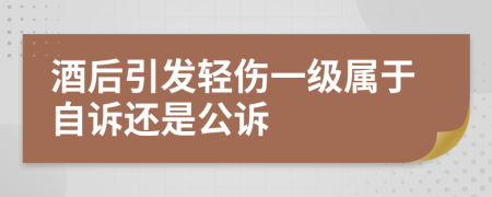 酒后引发轻伤一级属于自诉还是公诉