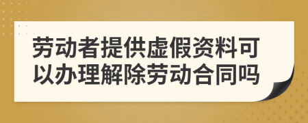 劳动者提供虚假资料可以办理解除劳动合同吗