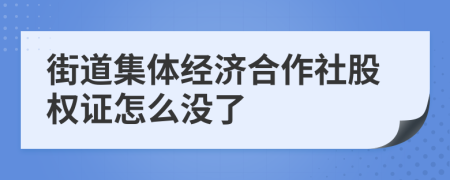 街道集体经济合作社股权证怎么没了