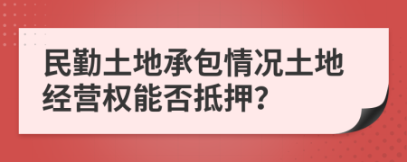 民勤土地承包情况土地经营权能否抵押？