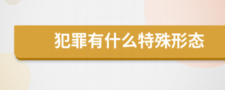 犯罪有什么特殊形态