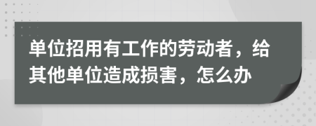 单位招用有工作的劳动者，给其他单位造成损害，怎么办