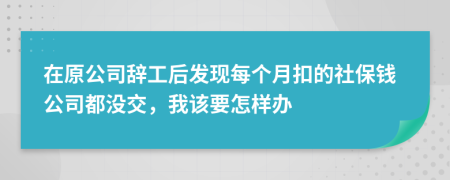 在原公司辞工后发现每个月扣的社保钱公司都没交，我该要怎样办