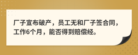 厂子宣布破产，员工无和厂子签合同，工作6个月，能否得到赔偿经。