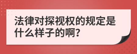 法律对探视权的规定是什么样子的啊？