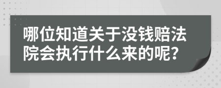 哪位知道关于没钱赔法院会执行什么来的呢？