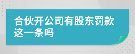 合伙开公司有股东罚款这一条吗