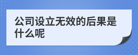 公司设立无效的后果是什么呢