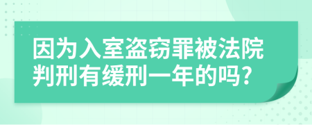 因为入室盗窃罪被法院判刑有缓刑一年的吗?