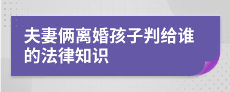 夫妻俩离婚孩子判给谁的法律知识