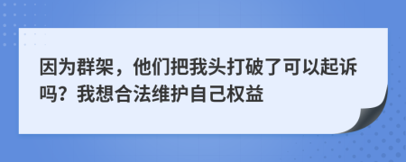 因为群架，他们把我头打破了可以起诉吗？我想合法维护自己权益