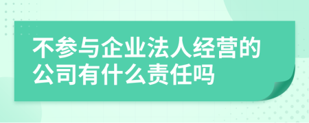 不参与企业法人经营的公司有什么责任吗