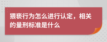 猥亵行为怎么进行认定，相关的量刑标准是什么