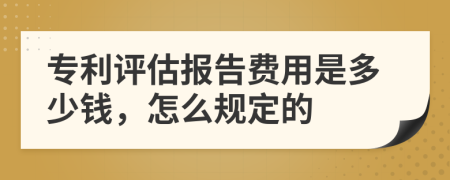 专利评估报告费用是多少钱，怎么规定的