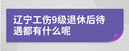 辽宁工伤9级退休后待遇都有什么呢