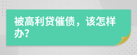 被高利贷催债，该怎样办？