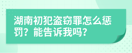 湖南初犯盗窃罪怎么惩罚？能告诉我吗？