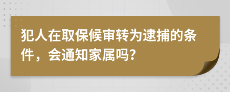 犯人在取保候审转为逮捕的条件，会通知家属吗？