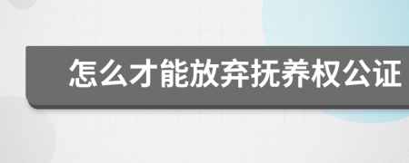 怎么才能放弃抚养权公证