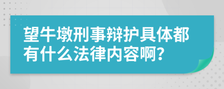 望牛墩刑事辩护具体都有什么法律内容啊？