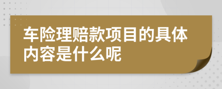 车险理赔款项目的具体内容是什么呢