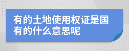 有的土地使用权证是国有的什么意思呢