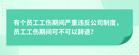 有个员工工伤期间严重违反公司制度，员工工伤期间可不可以辞退？