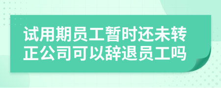 试用期员工暂时还未转正公司可以辞退员工吗