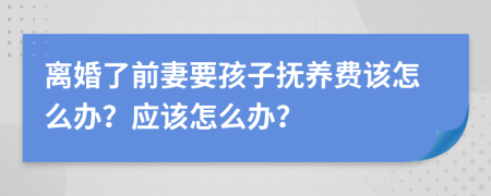 离婚了前妻要孩子抚养费该怎么办？应该怎么办？