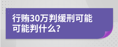 行贿30万判缓刑可能可能判什么？