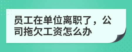 员工在单位离职了，公司拖欠工资怎么办