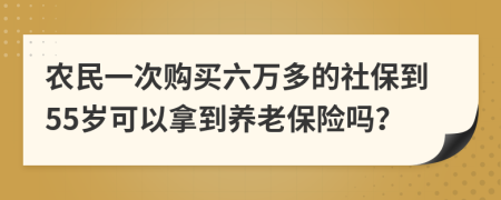 农民一次购买六万多的社保到55岁可以拿到养老保险吗？