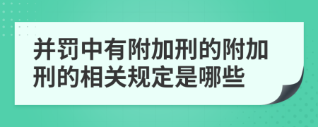 并罚中有附加刑的附加刑的相关规定是哪些