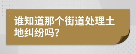 谁知道那个街道处理土地纠纷吗？