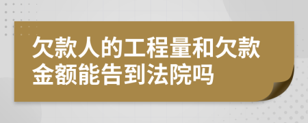 欠款人的工程量和欠款金额能告到法院吗