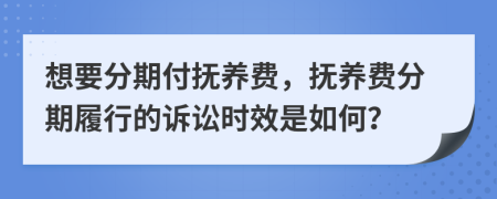 想要分期付抚养费，抚养费分期履行的诉讼时效是如何？