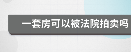 一套房可以被法院拍卖吗