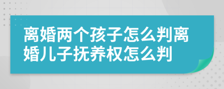 离婚两个孩子怎么判离婚儿子抚养权怎么判