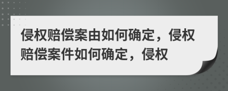 侵权赔偿案由如何确定，侵权赔偿案件如何确定，侵权