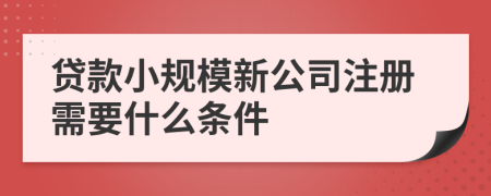 贷款小规模新公司注册需要什么条件