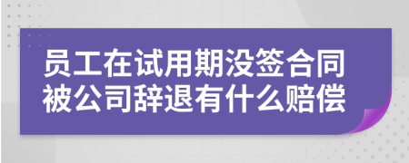 员工在试用期没签合同被公司辞退有什么赔偿