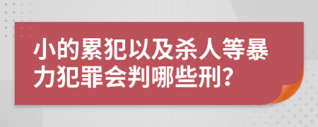 小的累犯以及杀人等暴力犯罪会判哪些刑？