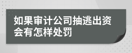 如果审计公司抽逃出资会有怎样处罚