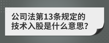 公司法第13条规定的技术入股是什么意思？