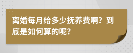 离婚每月给多少抚养费啊？到底是如何算的呢？