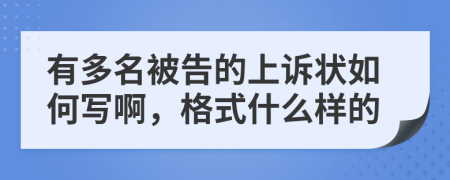 有多名被告的上诉状如何写啊，格式什么样的