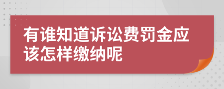 有谁知道诉讼费罚金应该怎样缴纳呢