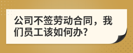 公司不签劳动合同，我们员工该如何办?