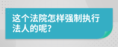 这个法院怎样强制执行法人的呢？