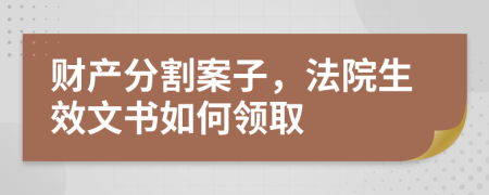 财产分割案子，法院生效文书如何领取